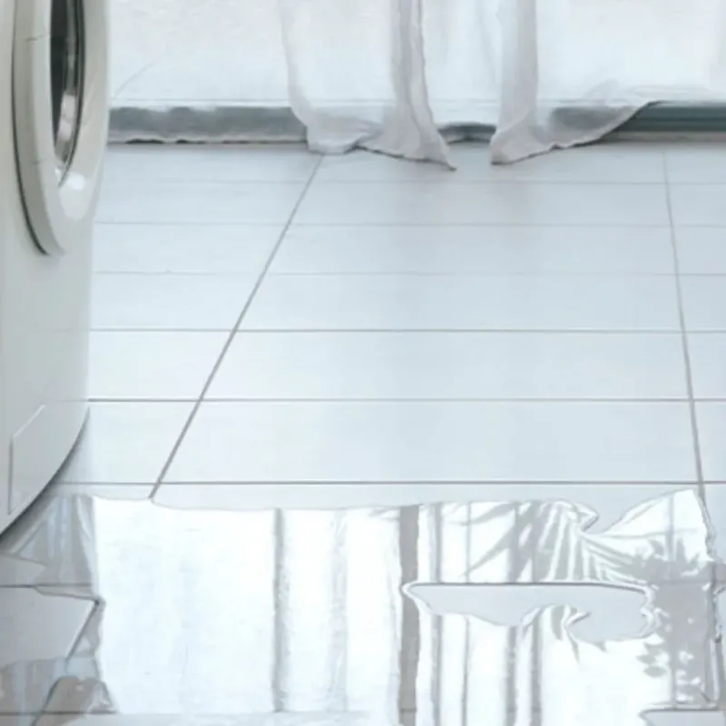 Appliance Leak Cleanup in Carlisle, OH