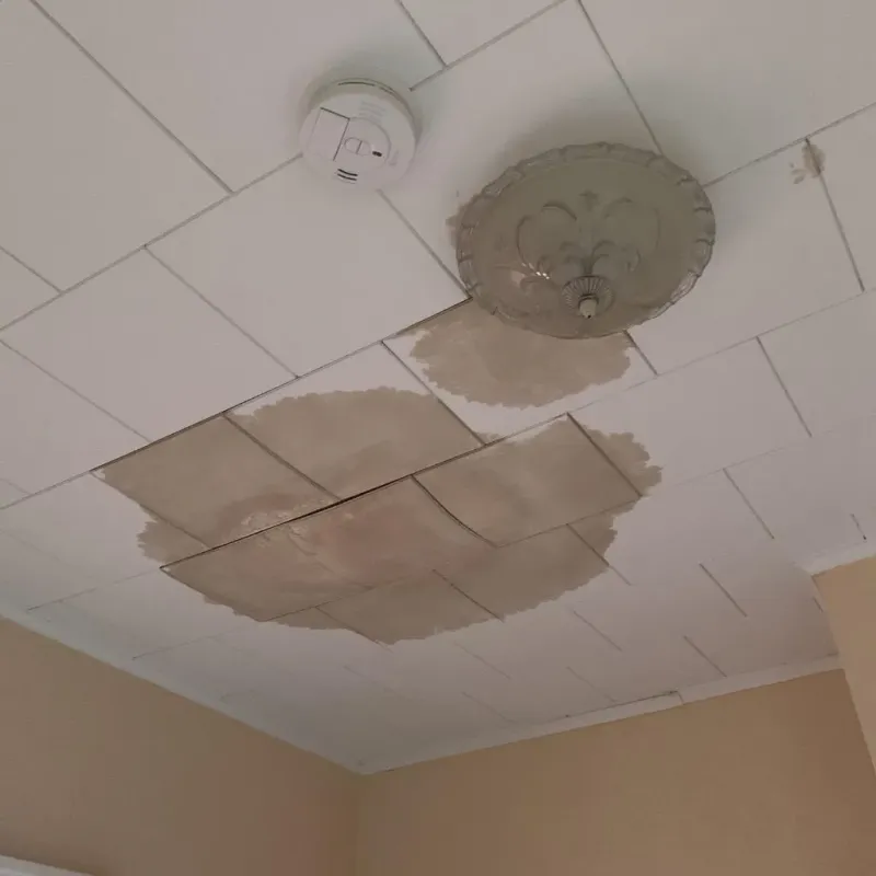 Ceiling Water Damage Repair in Carlisle, OH