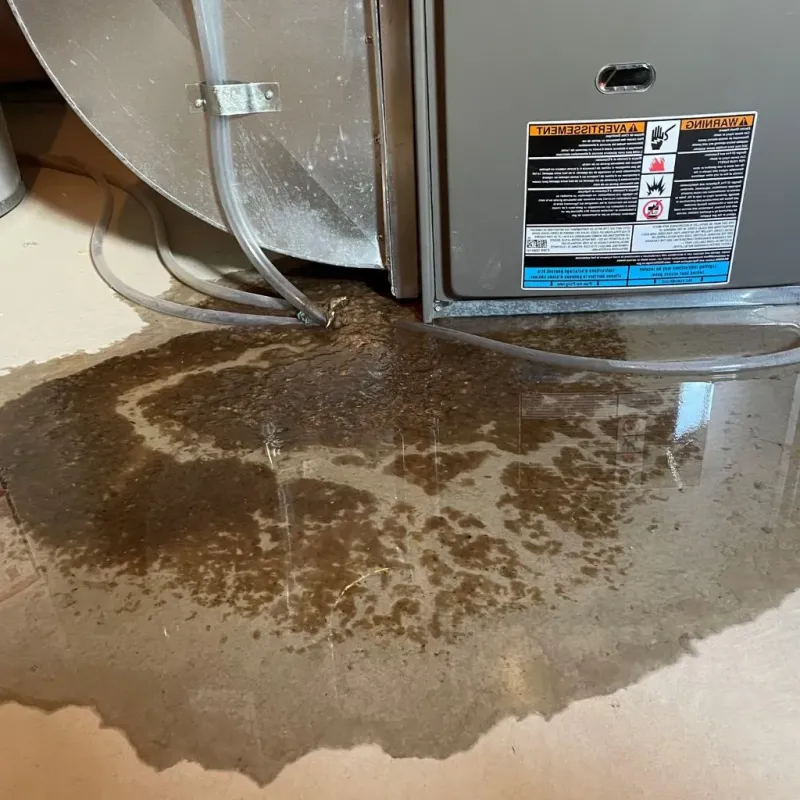 Pipe Burst and Leak Restoration in Carlisle, OH