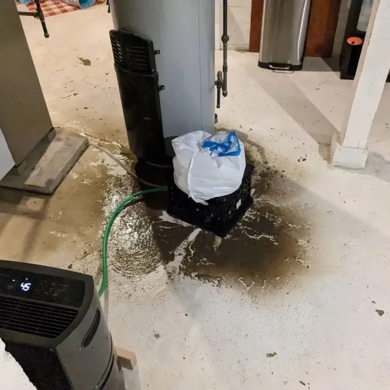 Sewage Backup Cleanup Service in Carlisle, OH